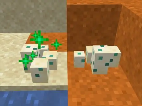 Eggsand