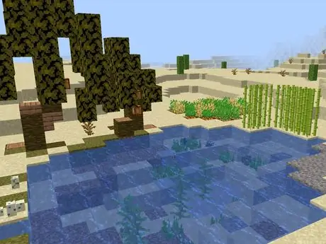 Pond_desert