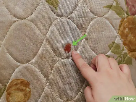 Получите кровь из листов, шаг 16