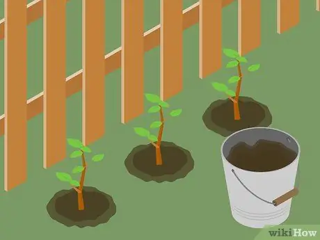 Переработка биоразлагаемых отходов Шаг 12