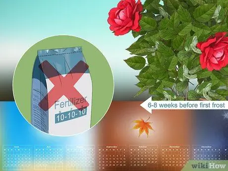 Удобрение роз, шаг 17