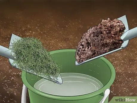 Удобрение роз, шаг 8