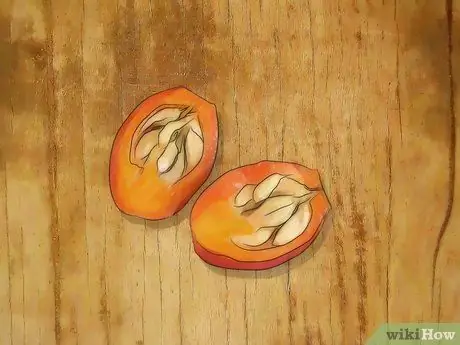 Выращивайте розы из семян, шаг 3