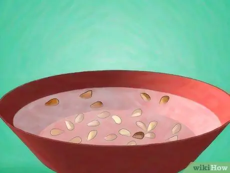Выращивайте розы из семян Шаг 5