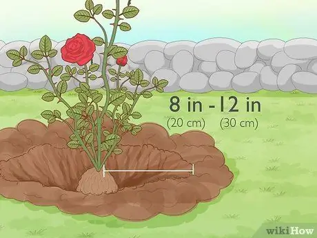Revive Roses Шаг 12 Revive Roses Шаг 12