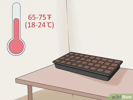 Сажать капусту Шаг 4