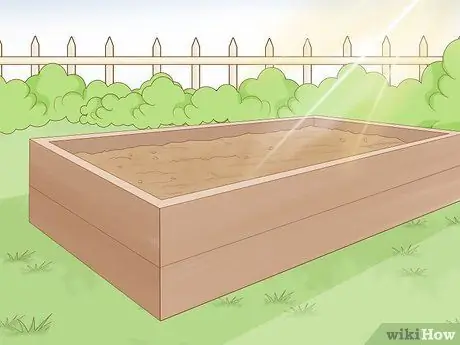 Сажайте чеснок осенью, шаг 1