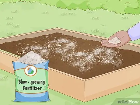 Посадить чеснок осенью Шаг 4