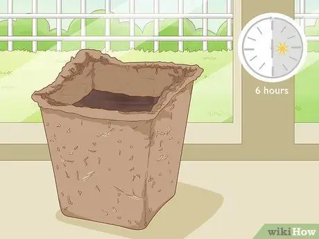 Посадить базилик в горшке Шаг 8