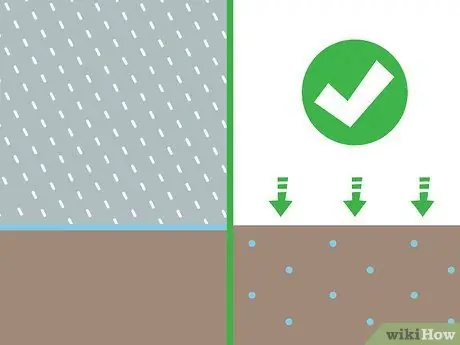 Сбор урожая имбиря Шаг 1