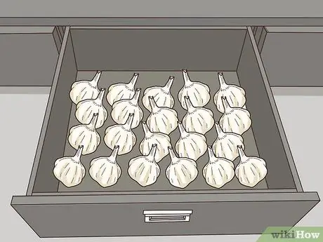 Выращивание чеснока во Флориде Шаг 14