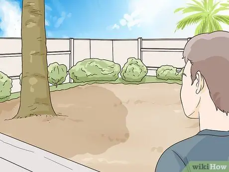 Выращивайте чеснок во Флориде, шаг 3