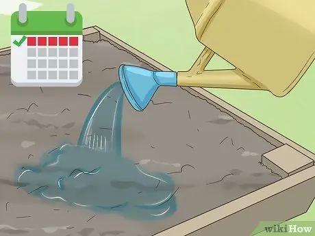 Выращивание чеснока во Флориде Шаг 7