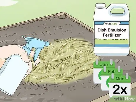 Выращивайте чеснок во Флориде Шаг 8