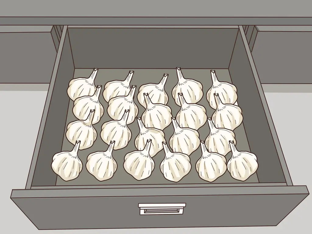 Как выращивать чеснок во Флориде: 14 шагов (с иллюстрациями)