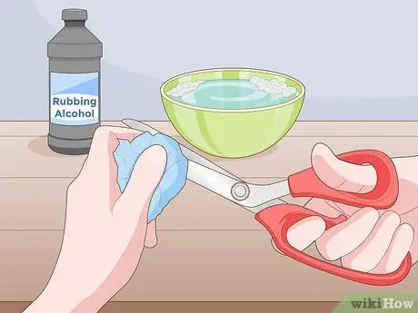 Выращиваем петрушку из черенков Шаг 1