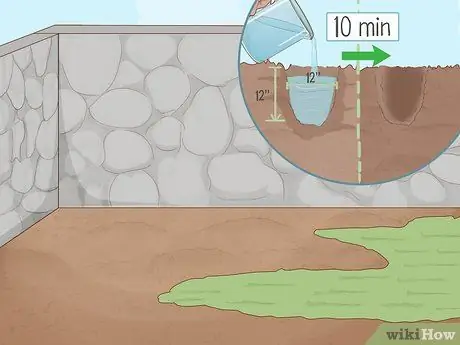 Выращивание пиретрума, шаг 1