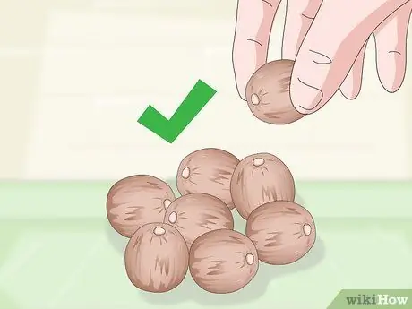 Выращивание чайного растения Шаг 1