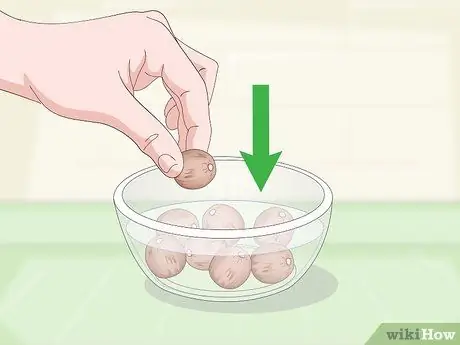 Выращивание чайного растения, шаг 3