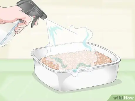 Выращивание чайного растения Шаг 5