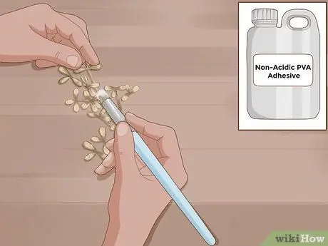 Сделать гербарий Шаг 11