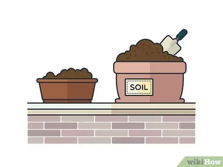 Выращивание мяты в помещении Шаг 5