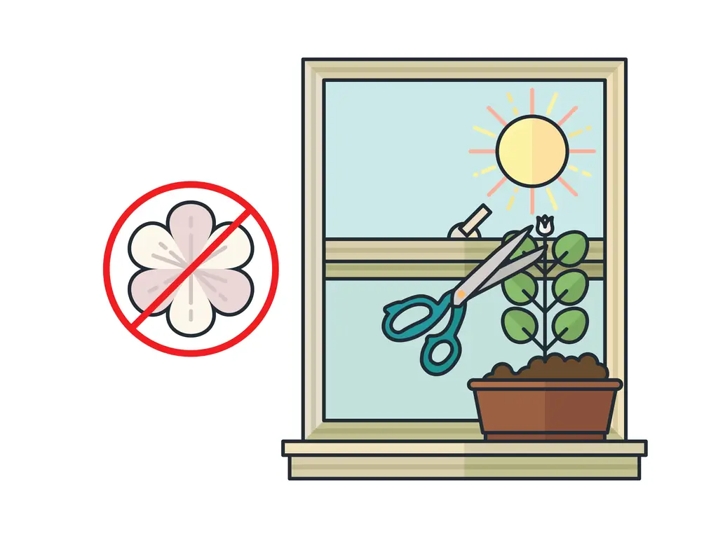Как вырастить мяту в помещении: 13 шагов (с иллюстрациями)