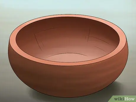 Выращивание имбиря в помещении, шаг 1