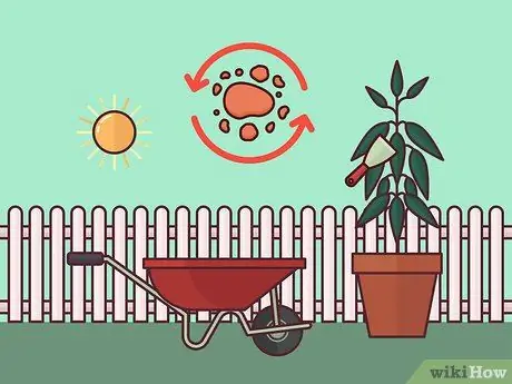 Сбор урожая корицы Шаг 6