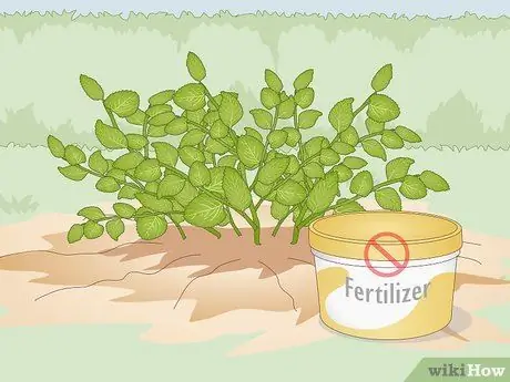 Удобрение травами Шаг 3