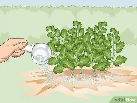 Удобрение травами Шаг 4