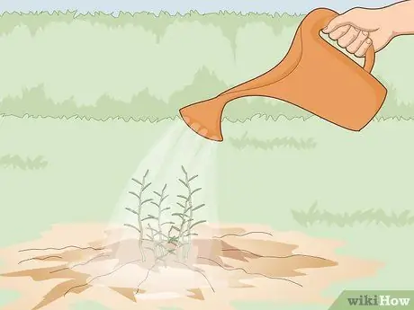 Удобрение травами Шаг 7