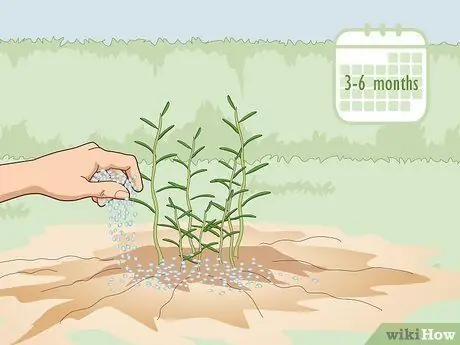 Удобрение травами Шаг 8