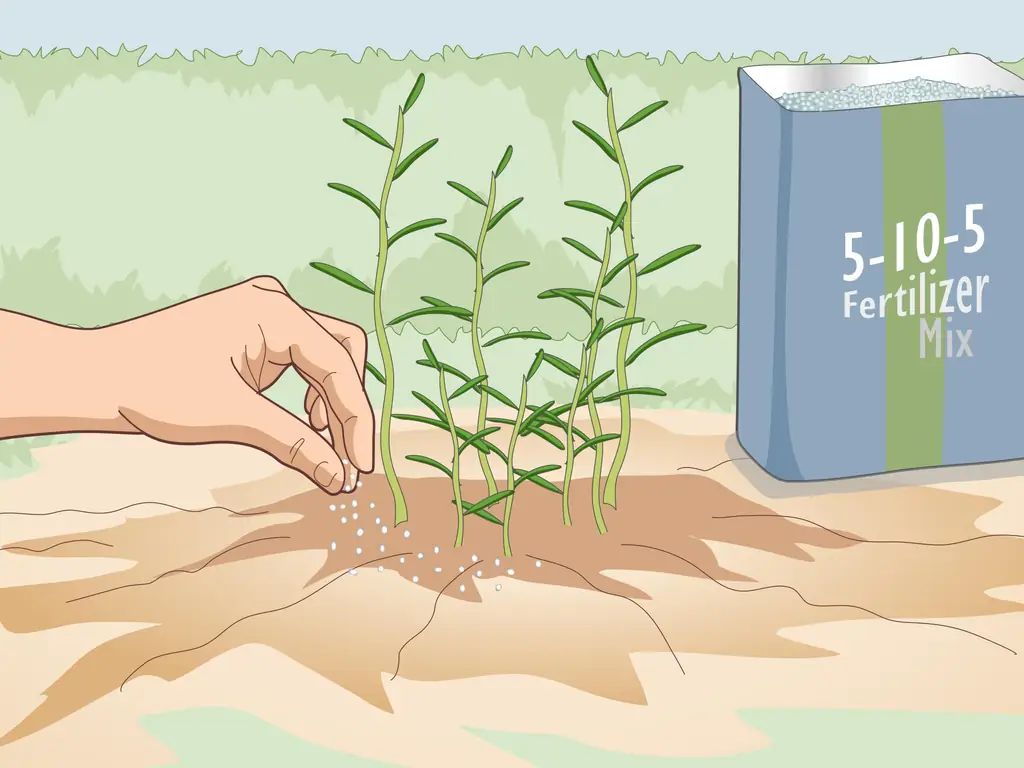 3 способа удобрения трав