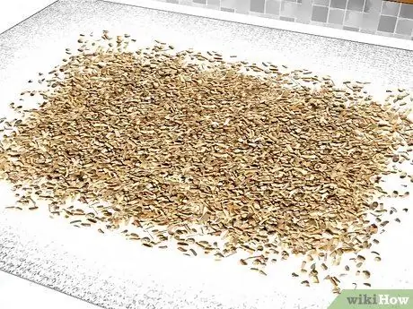 Выращивание валерианы Шаг 16