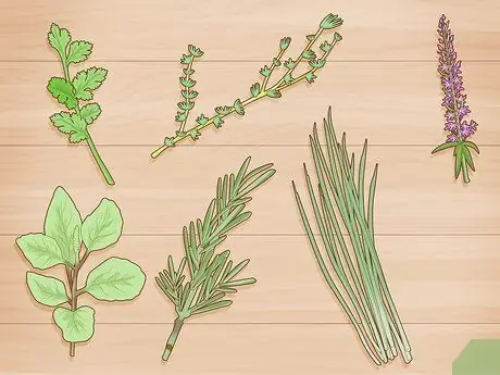 Выращивайте травы в воде, шаг 1