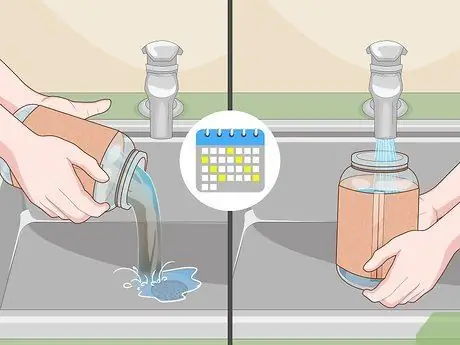 Выращивайте травы в воде, шаг 10