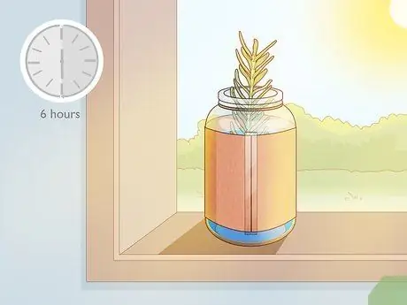 Выращивайте травы в воде, шаг 9