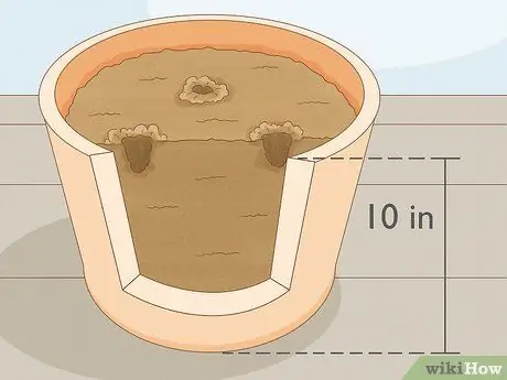 Сажать гвоздики Шаг 13