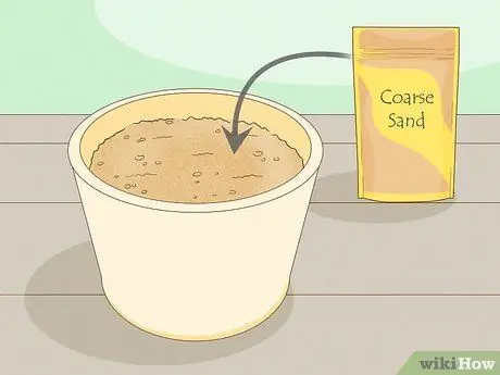 Сажать гвоздики Шаг 5