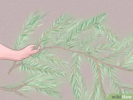 Уход за лилиями Шаг 7