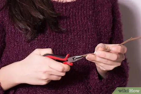 Сохраните срезанные цветы дольше с глицерином Шаг 2
