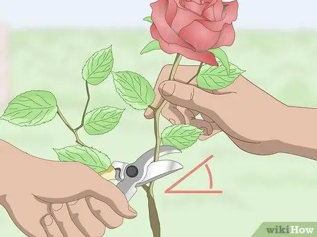 Срезанные цветы Шаг 2