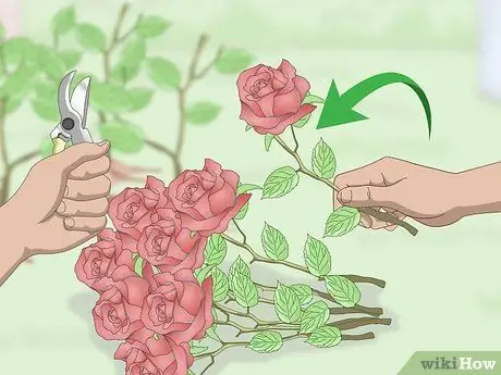 Срезанные цветы Шаг 3