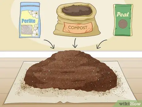 Заставь зацвести райскую птицу Шаг 7