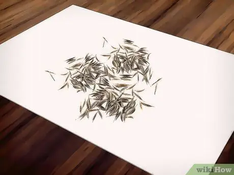 Выращивайте цветы космоса Шаг 15