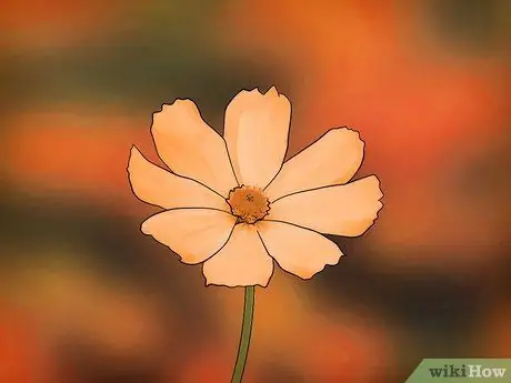 Выращивайте цветы космоса, шаг 4