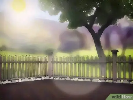 Выращивайте цветы космоса, шаг 6