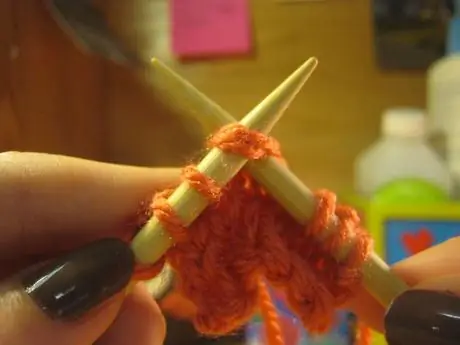 IMG_4046