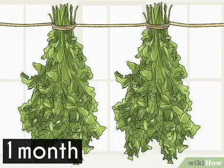 Сухие деревья моринги Шаг 6